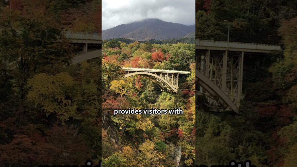 Discover the Enchanting Beauty of Miyagi, Japan: Top 3 Must-Visit Spots Discover the Enchanting Beauty of Miyagi, Japan: Top 3 Must-Visit Spots