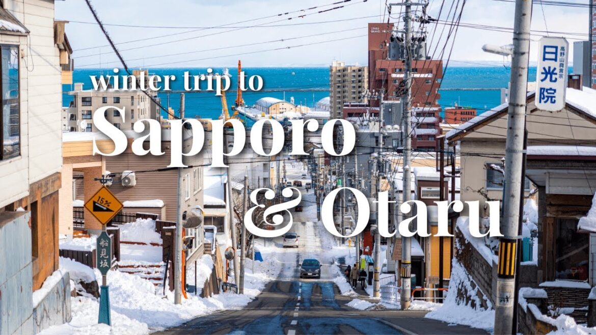 Trip to Hokkaido in December | Japan Travel Vlog Trip to Hokkaido in December | Japan Travel Vlog