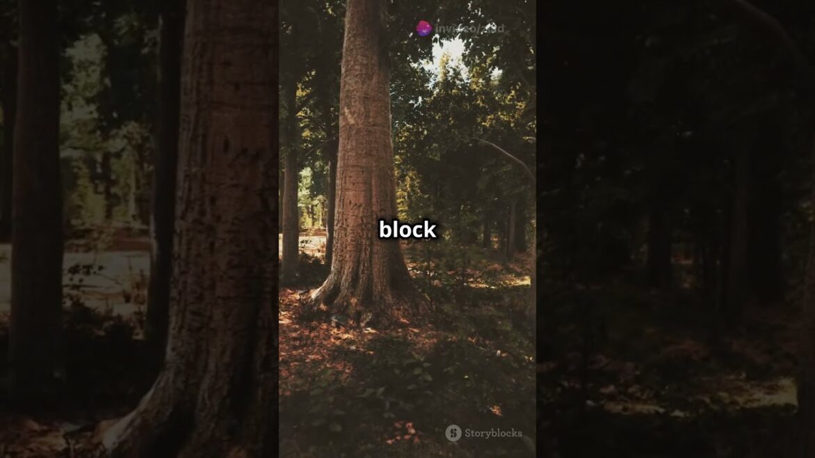 Aokigahara: The Haunted Forest of Japan #adventureawaits #travel #wanderlustdiscoveries #facts Aokigahara: The Haunted Forest of Japan #adventureawaits #travel #wanderlustdiscoveries #facts