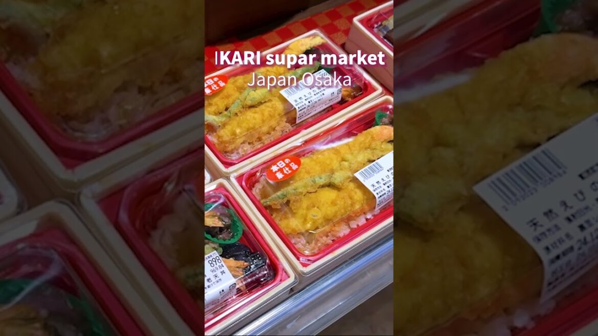 #cinamonroll #travel #japan #kix #osaka #shorts