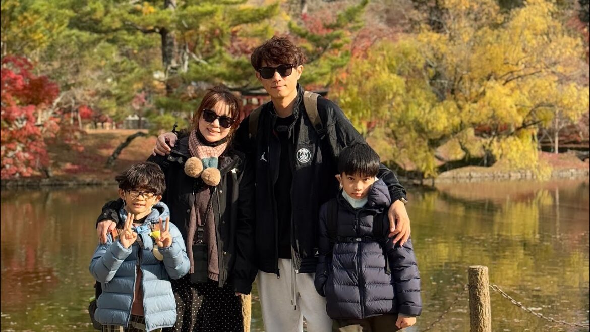 2024 Kyoto Nagoya Osaka family trip maple leaf