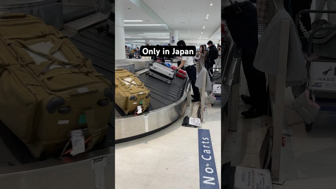 Only in Japan/ #marinjapan #travel #kansaiairport #japan #kixx #travelvlog #beautiful #ilovejapan