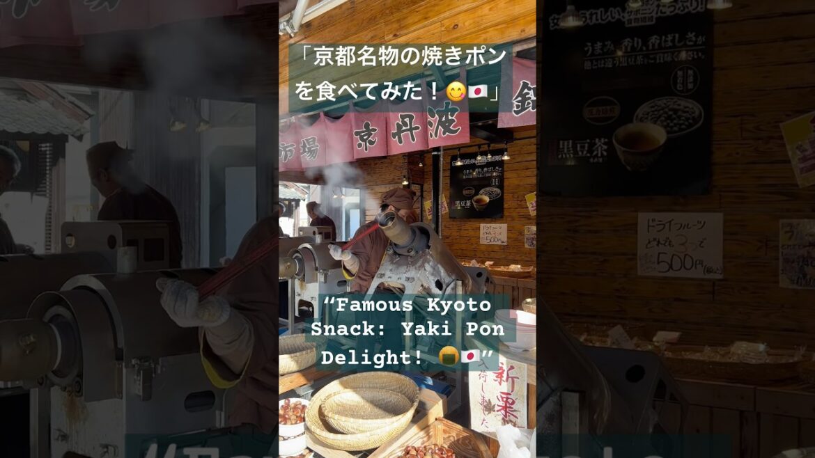 “Discover Kyoto’s Yaki Pon -A Hidden Gem! 🍘😋” #travel #music#kyoto “Discover Kyoto’s Yaki Pon -A Hidden Gem! 🍘😋” #travel #music#kyoto