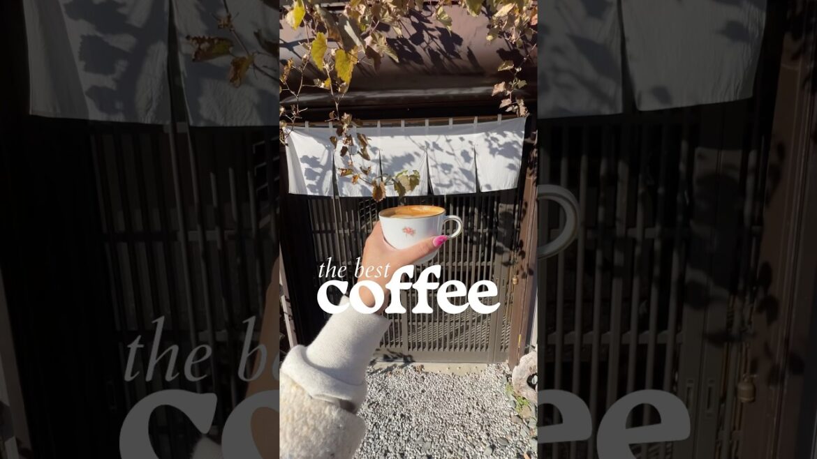 📌 save for your mt.fuji trip