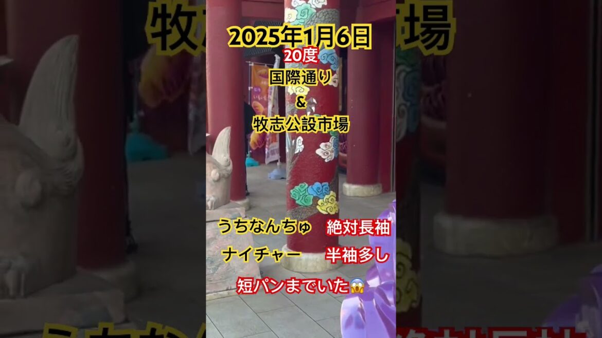 #shorts #那覇国際通り #牧志公設市場　この時期沖縄にしたら少し寒いですが凄く過ごしやすい😊　ゴルフ⛳️は最高でしょう　皆さま沖縄へめんそーれ✈️