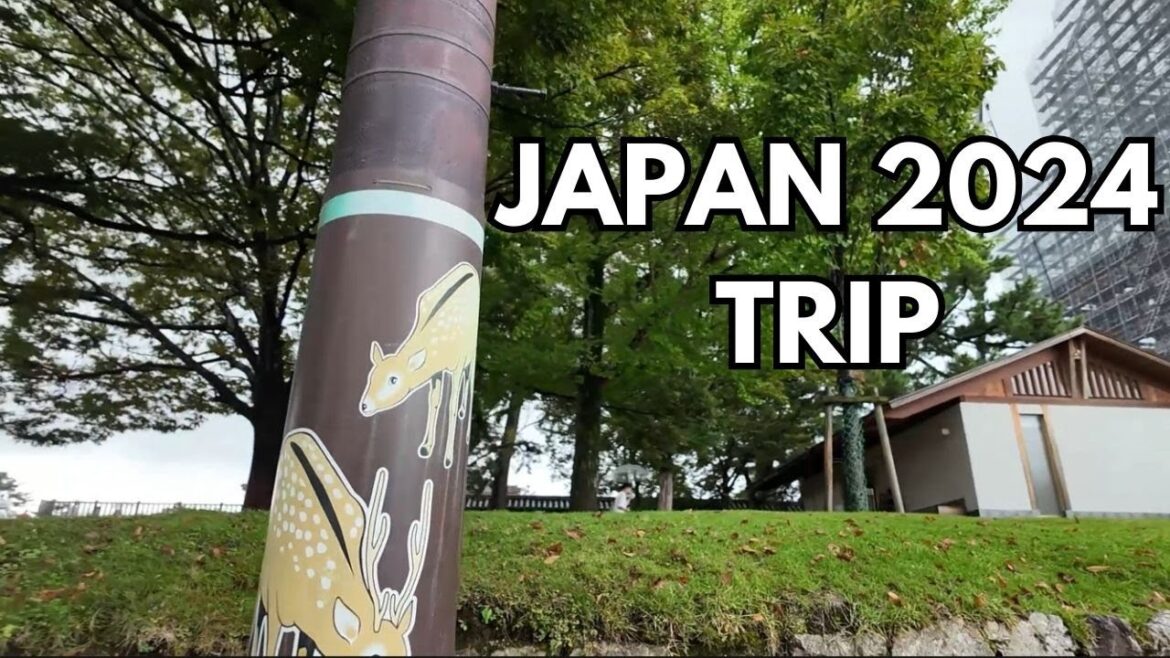 I Went to Japan!! – JAPAN 2024 VLOG I Went to Japan!! - JAPAN 2024 VLOG