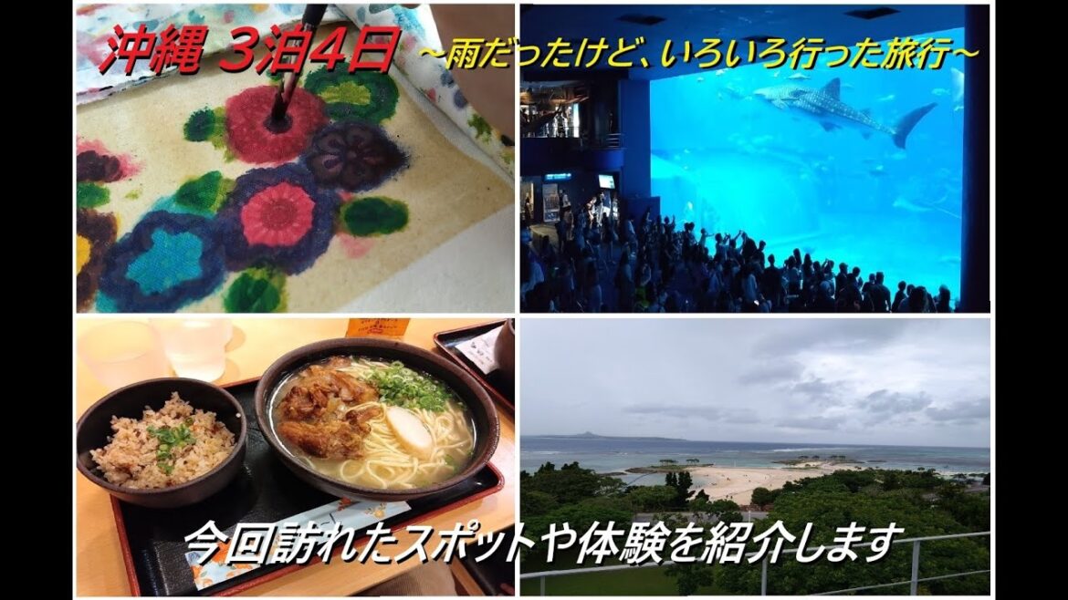 沖縄3泊4日 雨だったけどいろいろ行った旅行