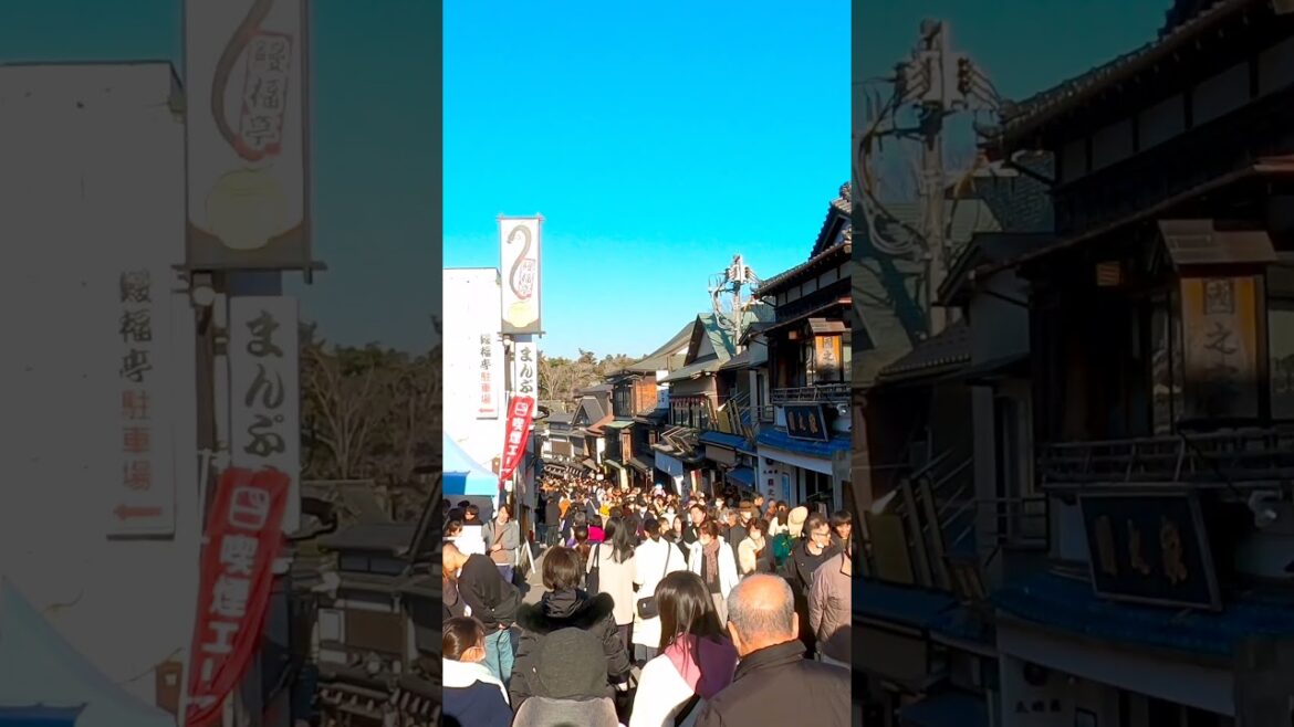 Omotesando street Narita to Shinsho-ji 成田山新勝寺: Walking in Japan - Hatsumode