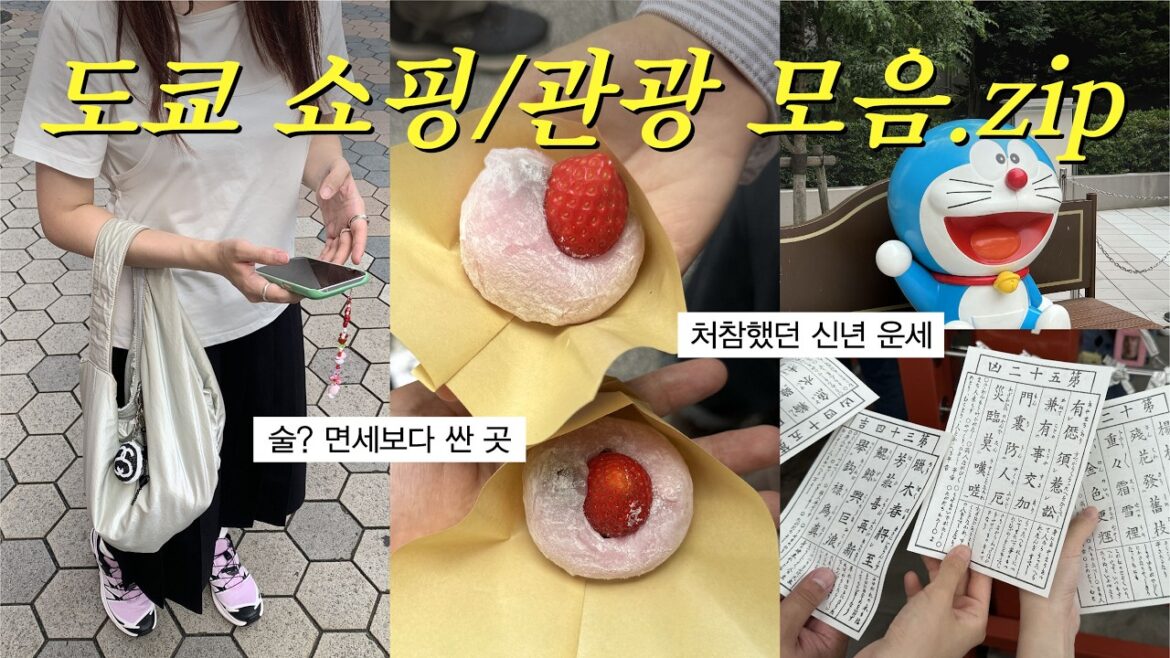 ๐ฏ๐ต๋์ฟ ๊ฐ๋ณผ ๋งํ ๊ณณ ์น ์๋ ค๋๋ฆผ๐๐ป์ผํ/๊ด๊ด ๊ฐ์ด๋๐๐ซ (์์ฌ์ฟ ์ฌ, ์ค๋ค์ด๋ฐ, ๊ธด์, ์ ์ฃผ์ฟ , ์๋ถ์ผ) ๐ฏ๐ต๋์ฟ ๊ฐ๋ณผ ๋งํ ๊ณณ ์น ์๋ ค๋๋ฆผ๐๐ป์ผํ/๊ด๊ด ๊ฐ์ด๋๐๐ซ (์์ฌ์ฟ ์ฌ, ์ค๋ค์ด๋ฐ, ๊ธด์, ์ ์ฃผ์ฟ , ์๋ถ์ผ)