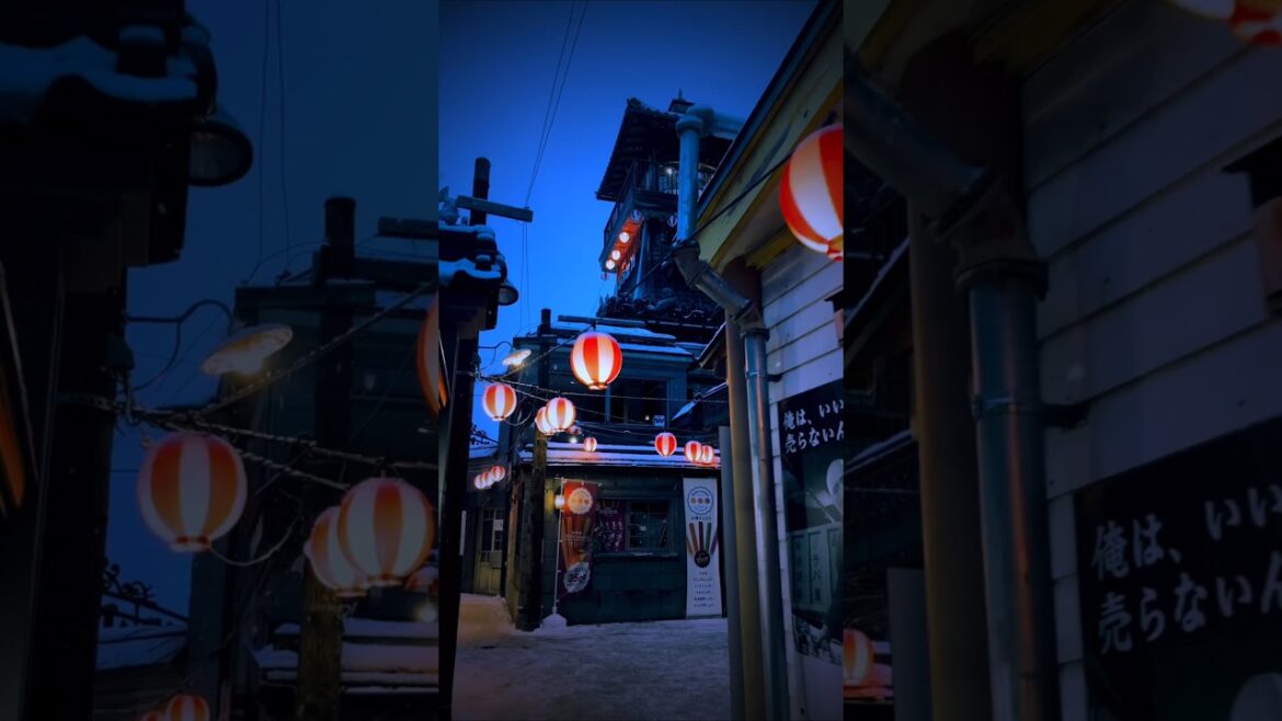 Otaru Izakaya District #hokkaidojapan