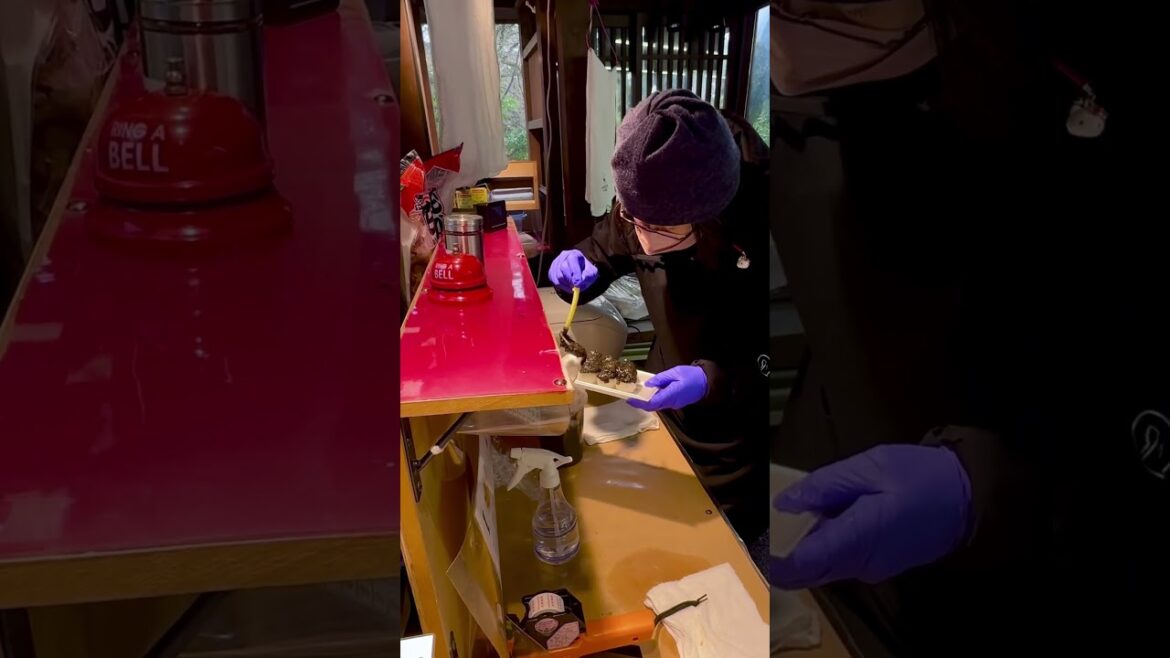 Try This If You Like Dango 🍡& Sesame #streetfood #shorts #shortvideo #youtubeshorts #short #ytshorts