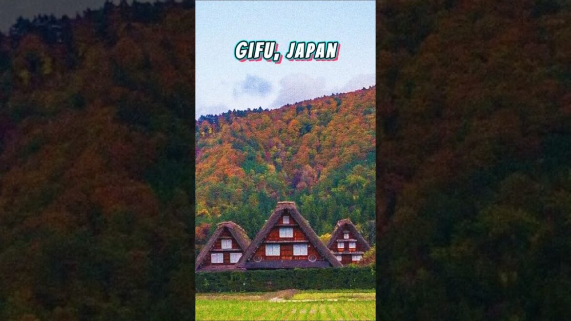 Hidden Village That Looks Straight Out of an Anime!  #travel #hiddengemjapan #offthemap Hidden Village That Looks Straight Out of an Anime!  #travel #hiddengemjapan #offthemap