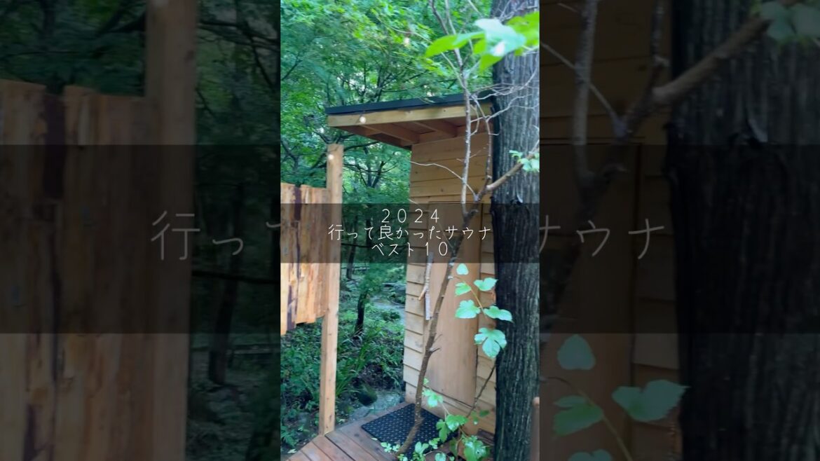 2024行って良かったサウナランキングベスト10を発表します！#サウナ #shorts #sauna