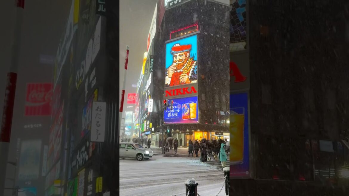 Snowy Sapporo Japan🇯🇵❄️