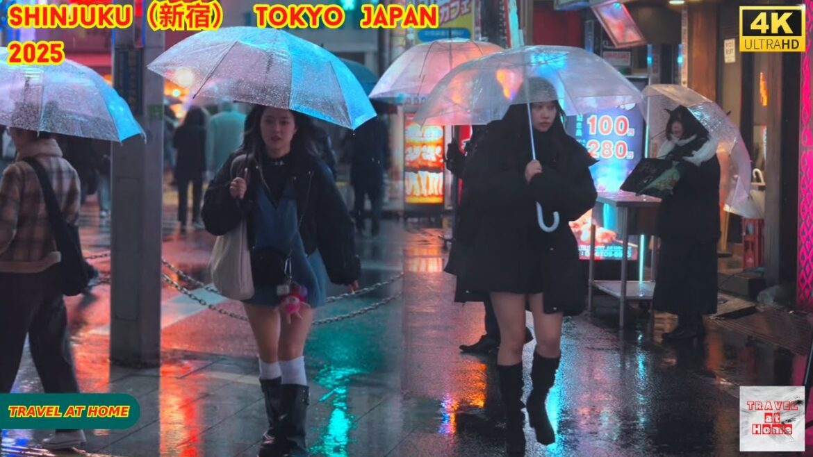 4k hdr japan travel 2025 | Night Walk in Shinjuku(新宿)Tokyo Japan |  Relaxing Natural City ambience 4k hdr japan travel 2025 | Night Walk in Shinjuku(新宿)Tokyo Japan |  Relaxing Natural City ambience