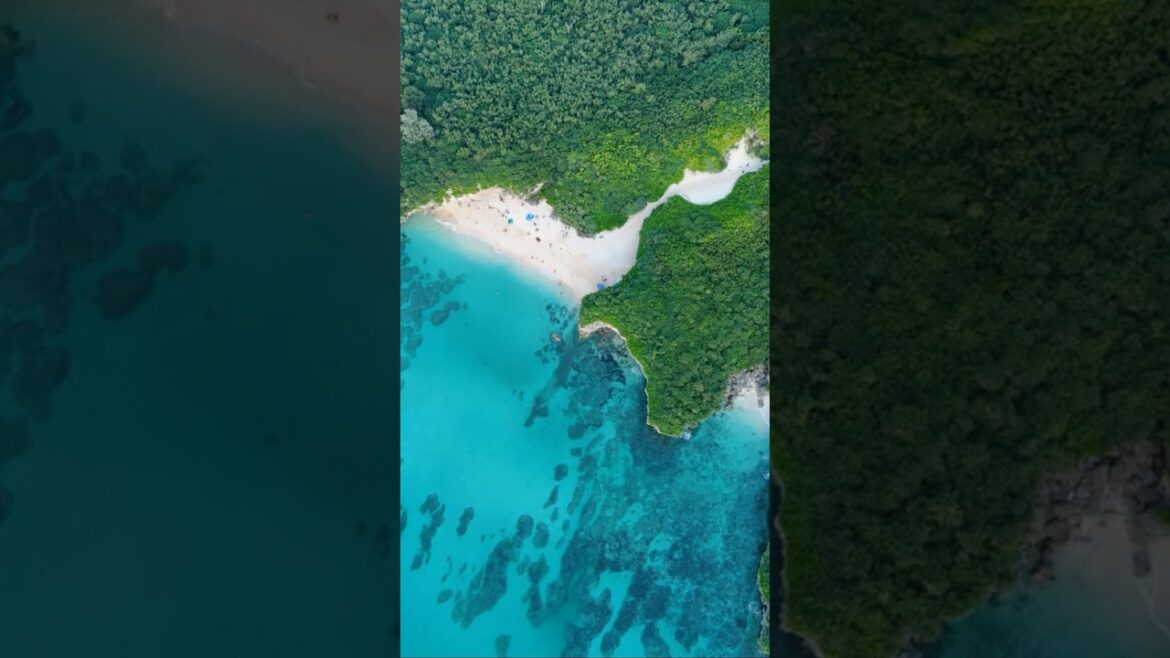 Top 5 Must-See Spots in Okinawa, Japan! #explore #okinawa