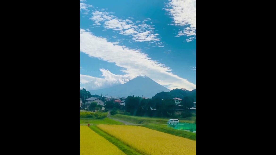 MT FUJI TOKYO #viralvideo #viralshorts #japan #travel #travelvlog #shortsvideo #shorts #vacation