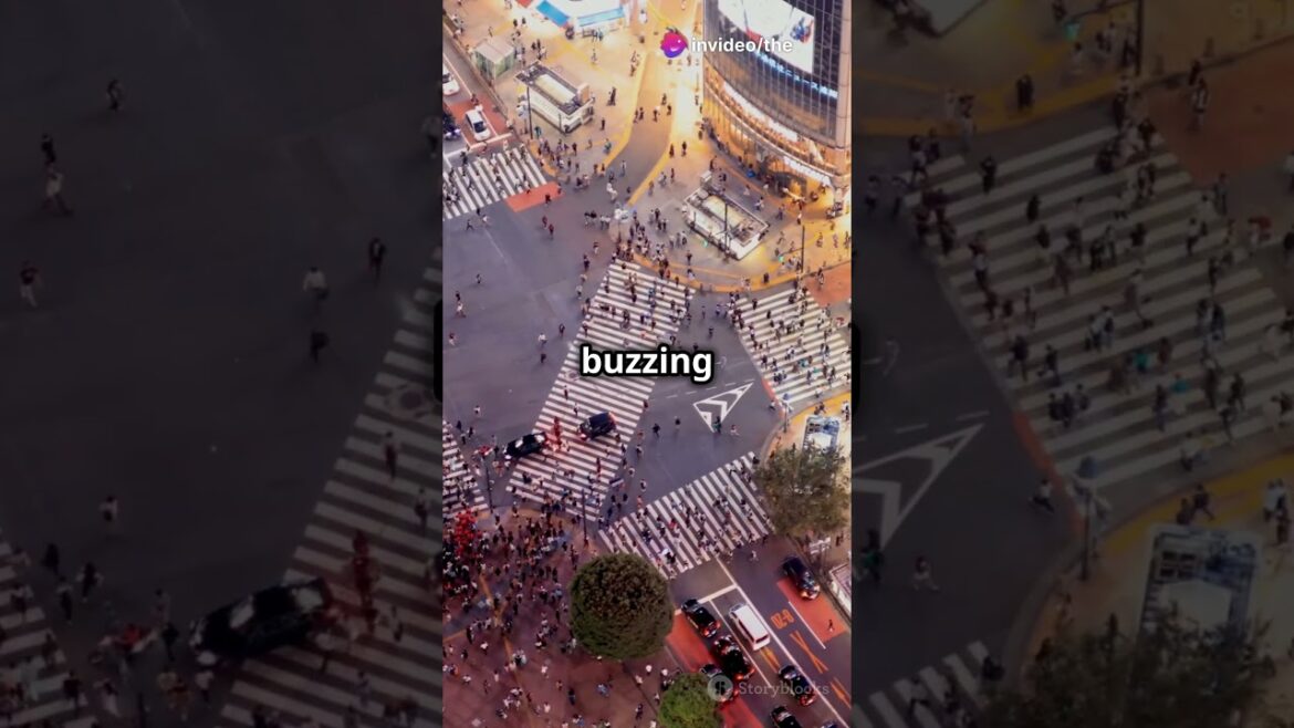 Come with me on a trip around the 3 most beautiful tourist places in Japan !2025🇯🇵🧸 #travel Come with me on a trip around the 3 most beautiful tourist places in Japan !2025🇯🇵🧸 #travel