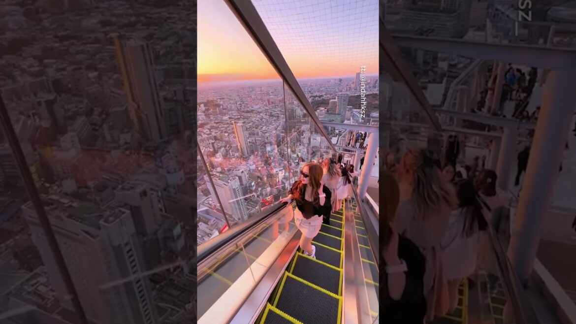 Places On Earth Japan #travel #japan #funny