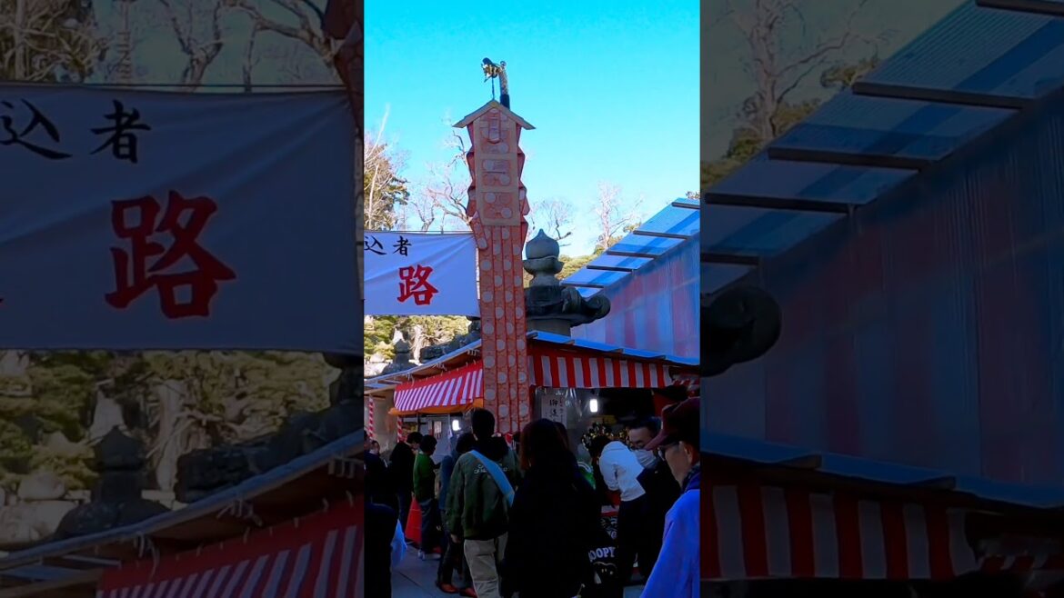 Unagi Restaurants on the New Year Temple Visit: Walking in Japan - Hatsumode