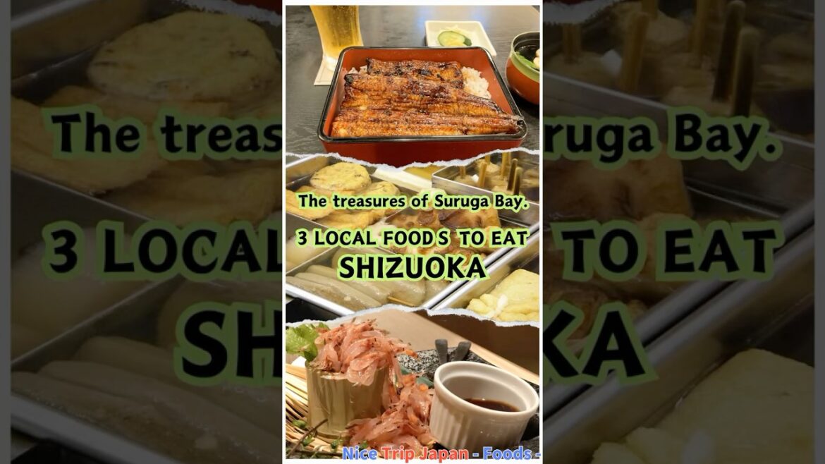 【SHIZUOKA-food-Nice Trip Japan】3 LOCAL FOODS TO EAT – The treasures of Suruga Bay 【SHIZUOKA-food-Nice Trip Japan】3 LOCAL FOODS TO EAT - The treasures of Suruga Bay