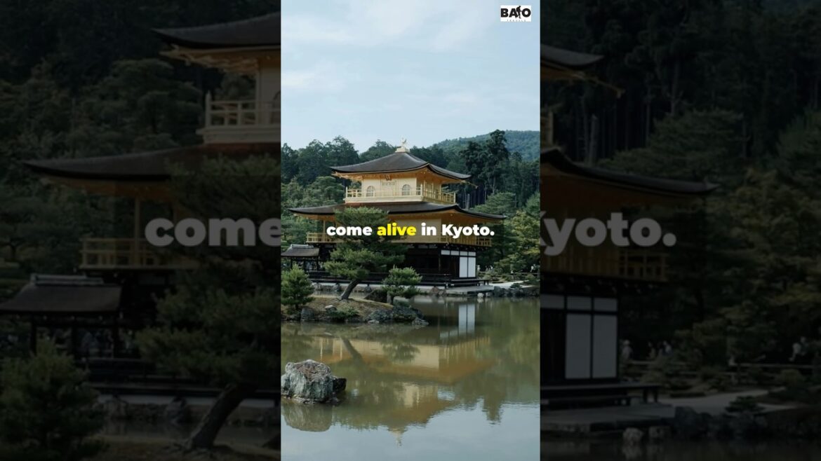 Facts About Japan #shorts #youtubeshorts #travelvlog Facts About Japan #shorts #youtubeshorts #travelvlog