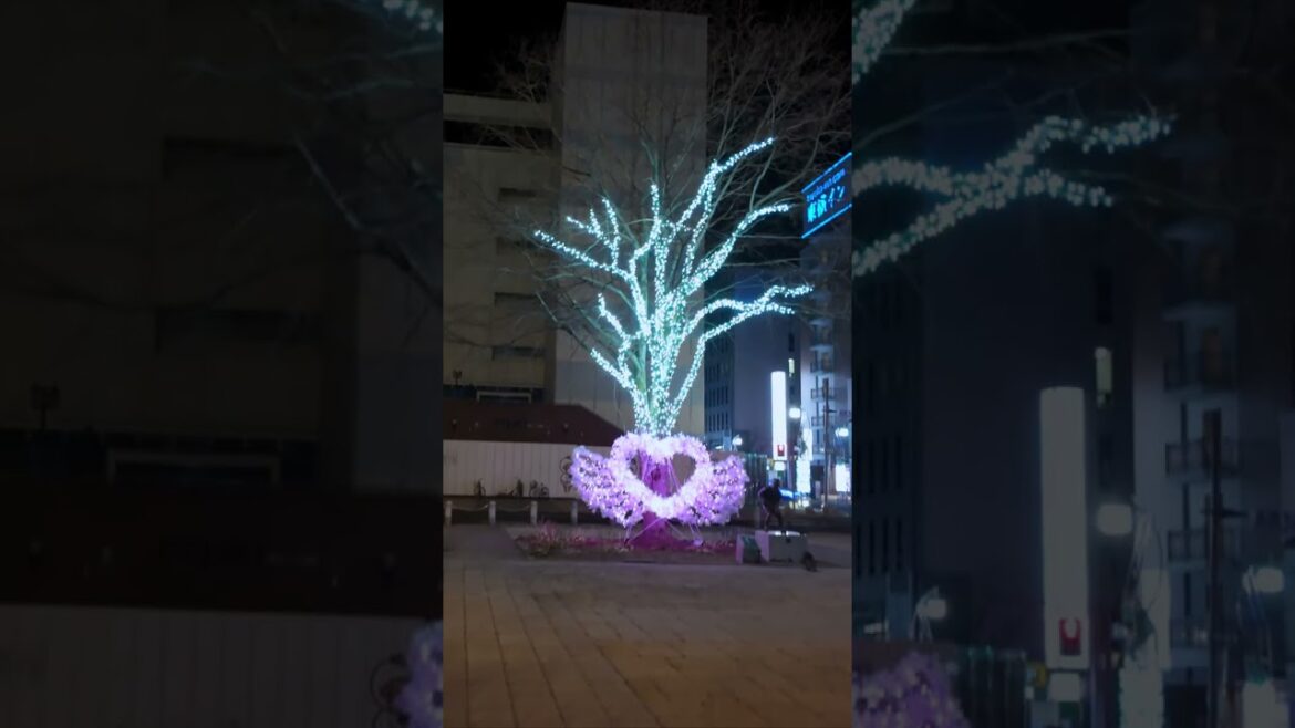 Hokkaido Trip Dec 2024