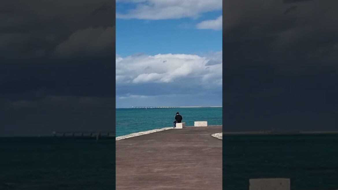 Welcome to Okinawa Japan!!!