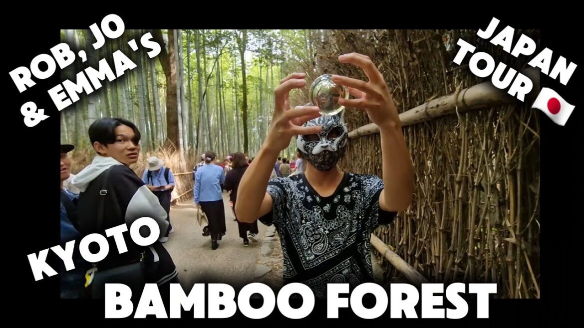 Kyoto bamboo forest - Arashiyama Best Bamboo Forest in Japan #bambooforest