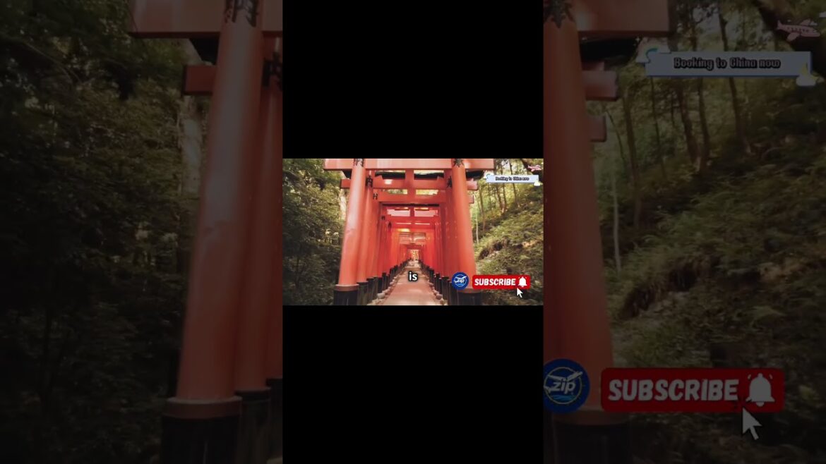 Meiji Shrine & Yoyogi Park – 10 Must-Visit Tokyo Spots – Your Ultimate Guide to Japan’s Capital! Meiji Shrine & Yoyogi Park - 10 Must-Visit Tokyo Spots - Your Ultimate Guide to Japan's Capital!