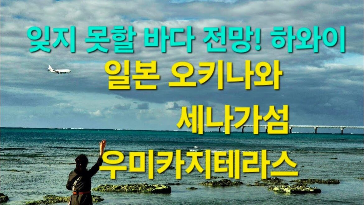 오키나와 하와이/ 나하공항/인기있는 관광지 세나가섬 우미카지테라스#생애 최초 해외여행#가족여행 오키나와 하와이/ 나하공항/인기있는 관광지 세나가섬 우미카지테라스#생애 최초 해외여행#가족여행