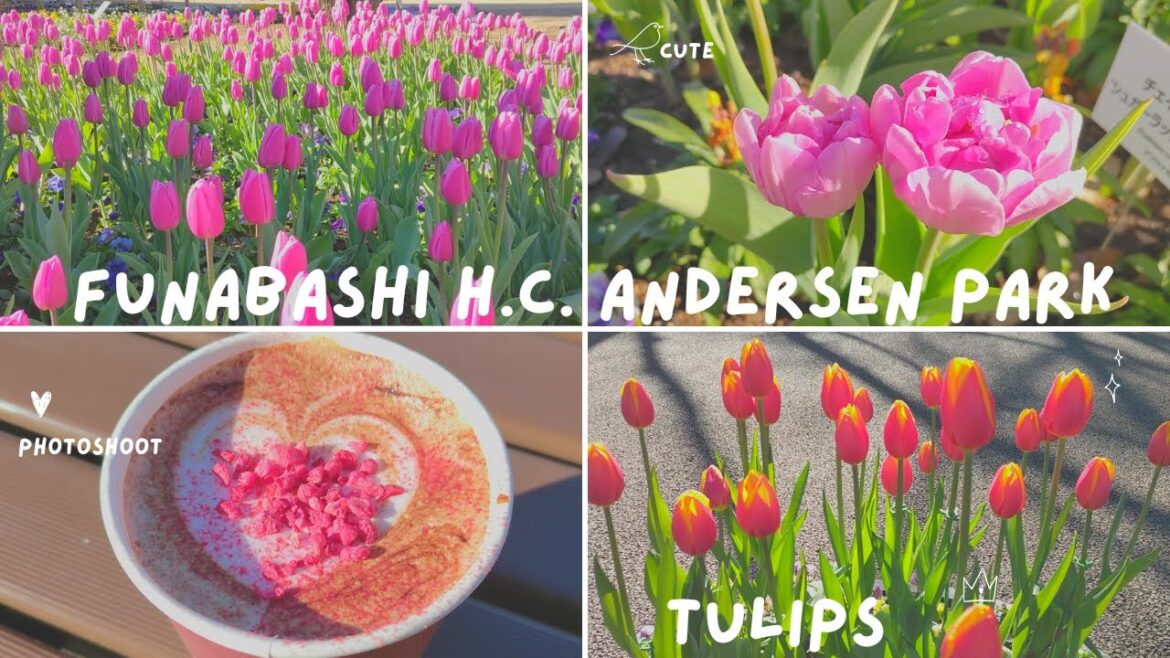 Tulip Tour at Funabashi H.C. Andersen Park in Japan | January 2025
