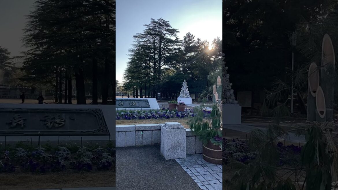 鶴舞公園の朝、JR鶴舞駅前 正面広場の様子。お正月の門松が飾られています。その先にはクリスマスイルミネーションのツリーがあってカオス♪2025.1.7撮影。　#鶴舞公園