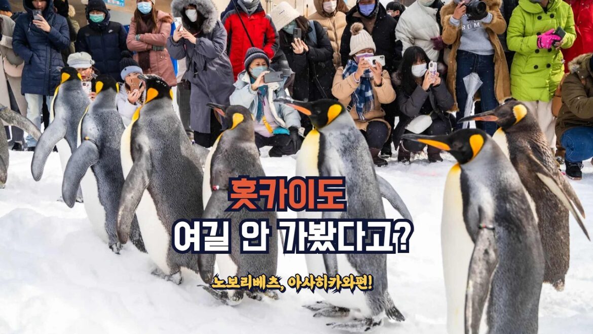 홋카이도여행 여길 안 가봤다고?(노보리베츠, 아사히카와 편) 홋카이도여행 여길 안 가봤다고?(노보리베츠, 아사히카와 편)