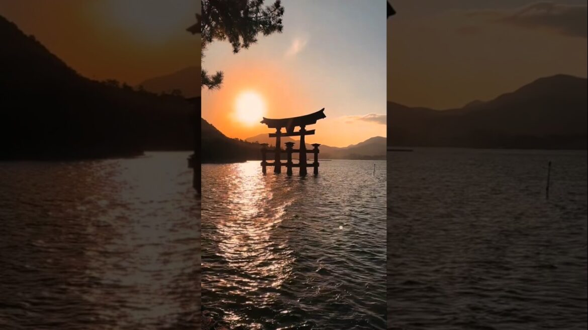 Places that don't feel real in Japan: Miyajima #adventure #explore #travel #nature #japan