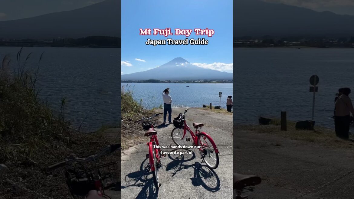 Everything we did for our Mount Fuji Day Trip! 🥰