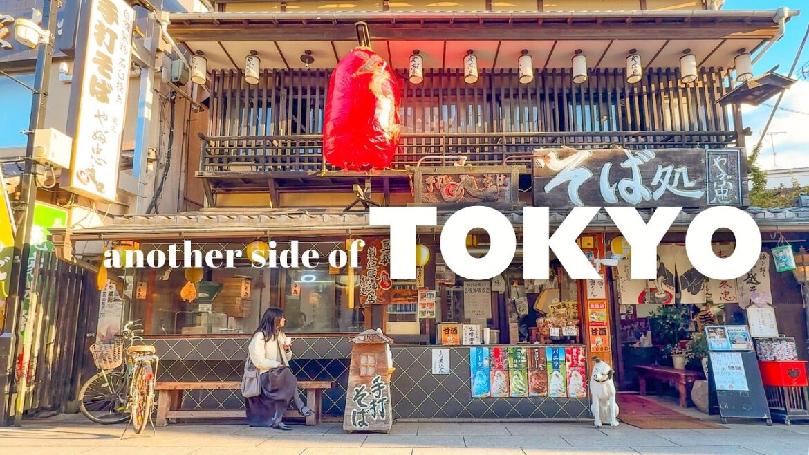 Tokyo’s Retro Japanese Neighborhood | Temples, Street Food & Yamamoto-tei Tea House | Japan VLOG Tokyo’s Retro Japanese Neighborhood | Temples, Street Food & Yamamoto-tei Tea House | Japan VLOG