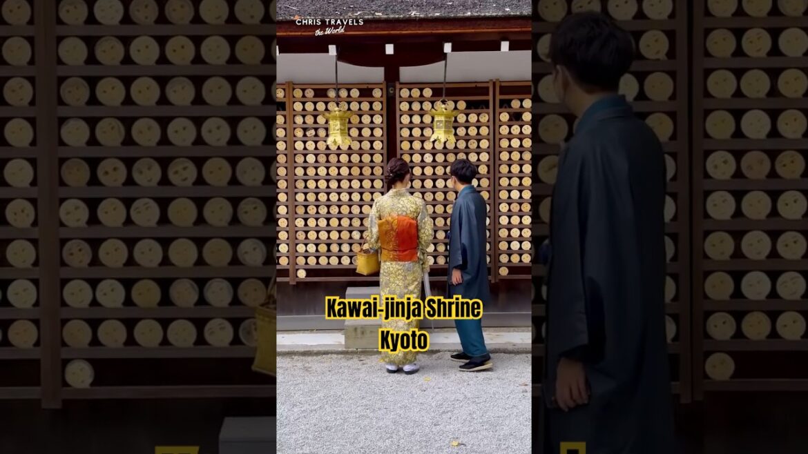 I Found the Most Unexpected Items for sale at This Kyoto Shrine!! I Found the Most Unexpected Items for sale at This Kyoto Shrine!!