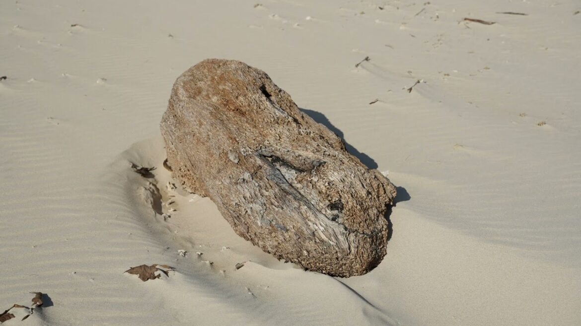 Went to Itoman area fish and farmer markets then walked along the ocean.  Jan. 8, 2025.  Okinawa.