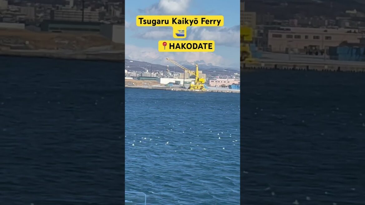 అసలేం గుర్తుకు రాదు నా కన్నుల ముందు 🕊️ #travel  #tips  #japanese