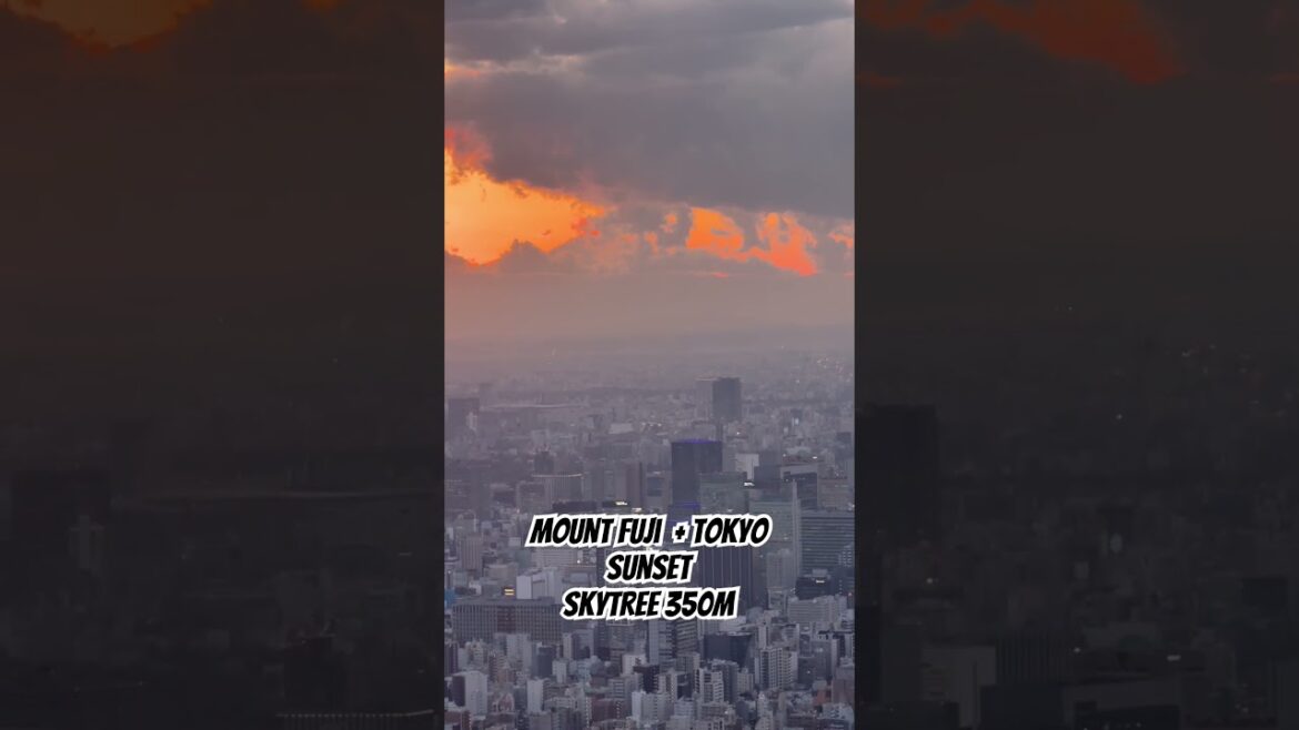 Mount Fuji and Tokyo Sunset View from Skytree 350m