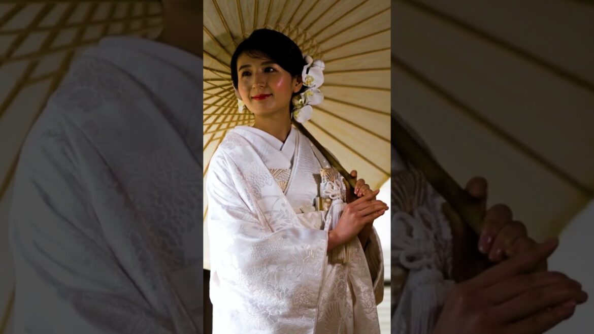 Let’s go see Japan! – Travel video πΈπβ©οΈπ£π Let's go see Japan! - Travel video πΈπβ©οΈπ£π