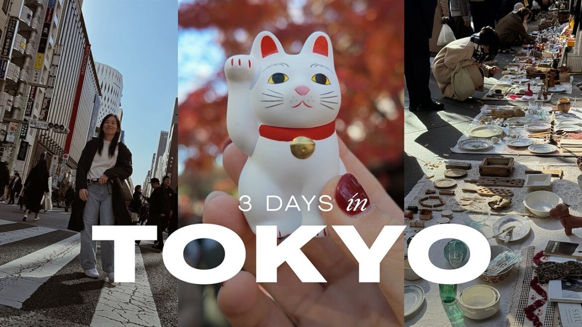 december in tokyo travel vlog π―π΅ gotokuji temple, oedo antique market, setagaya flea, cafes in ginza december in tokyo travel vlog π―π΅ gotokuji temple, oedo antique market, setagaya flea, cafes in ginza