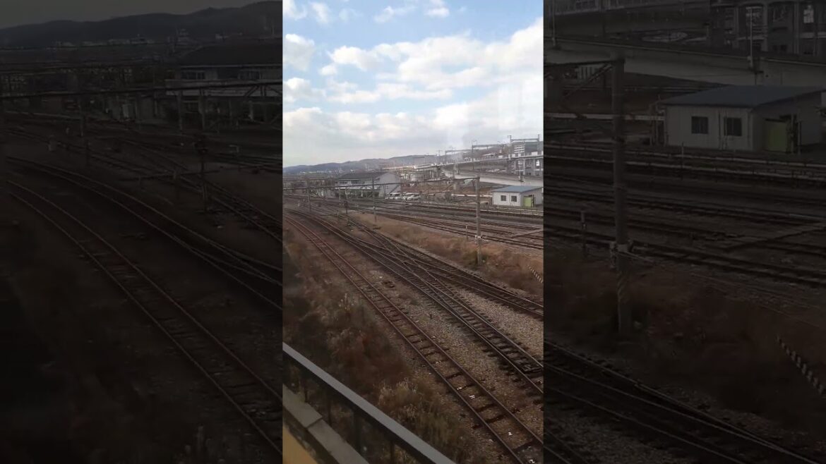 The Master Vlog in okayama 🇯🇵🇯🇵❤️❤️🇯🇵🇯🇵🇯🇵