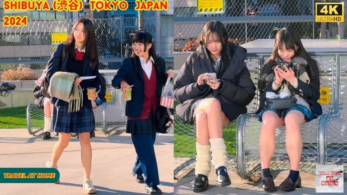 4k hdr Japan travel 2024 | Walk in Shibuya (渋谷) Tokyo Japan | Relaxing Natural City ambience 4k hdr Japan travel 2024 | Walk in Shibuya (渋谷) Tokyo Japan | Relaxing Natural City ambience