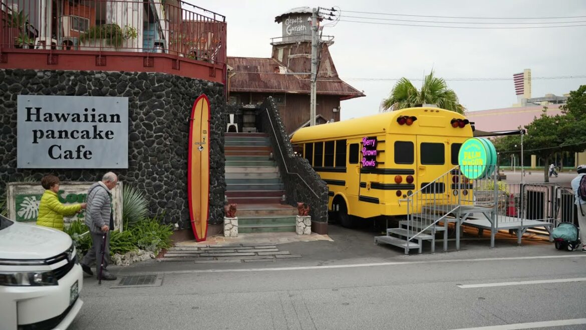 American Village (Chatan), Okinawa Prefectural Museum, Kokusai Street Food Village (Naha). Jan 9&10.