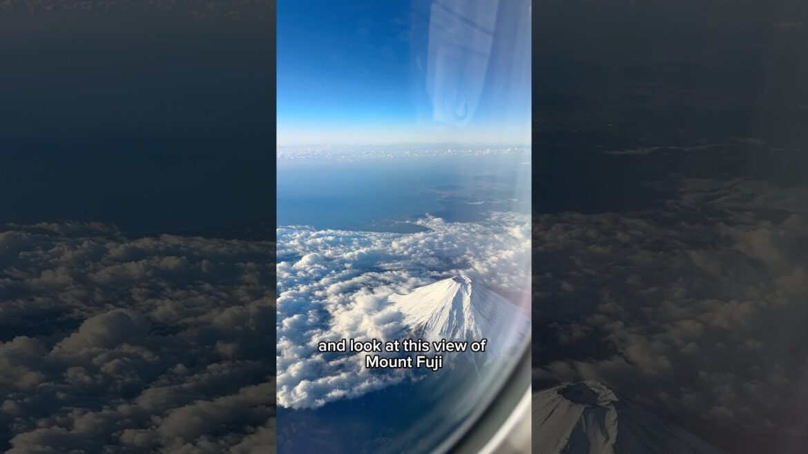 pov you plan a solo Japan trip in one day 急遽日本に来ちゃいました！ #vlog #shorts #japan