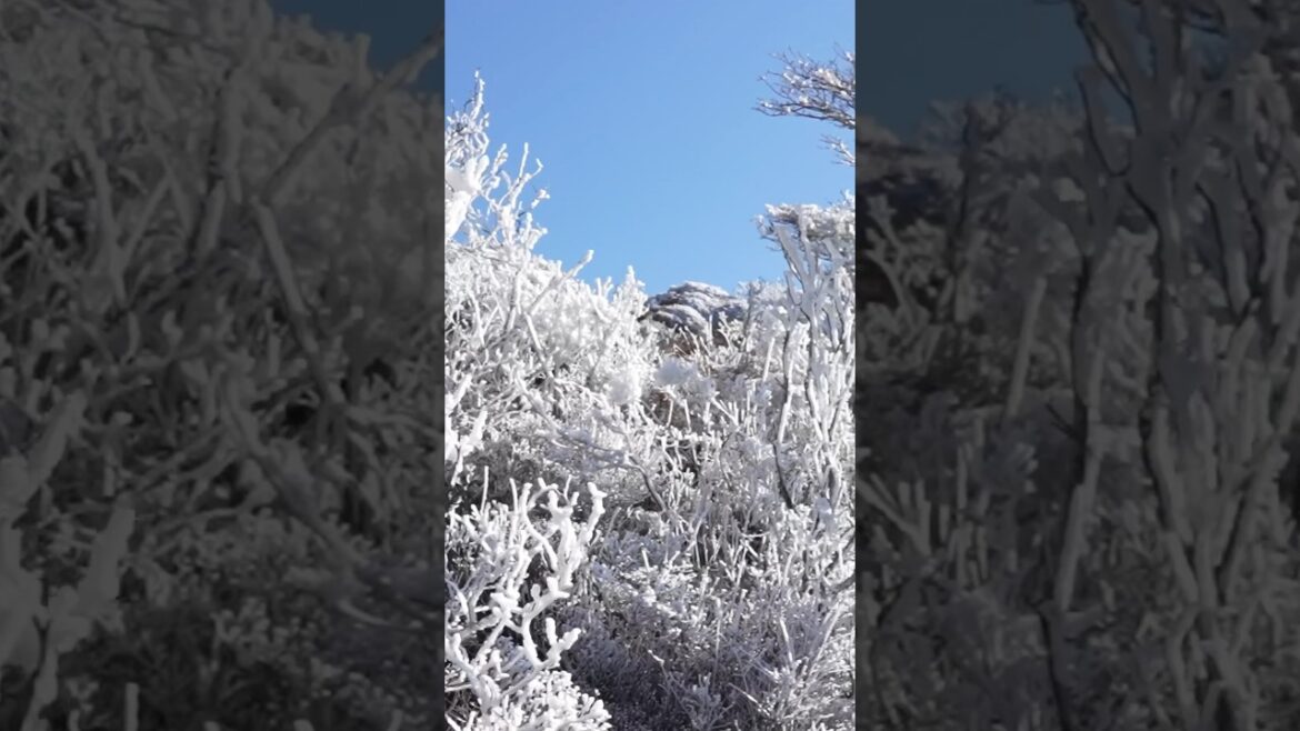 Mt. Karakuni Winter Hike - Kyushu, Japan