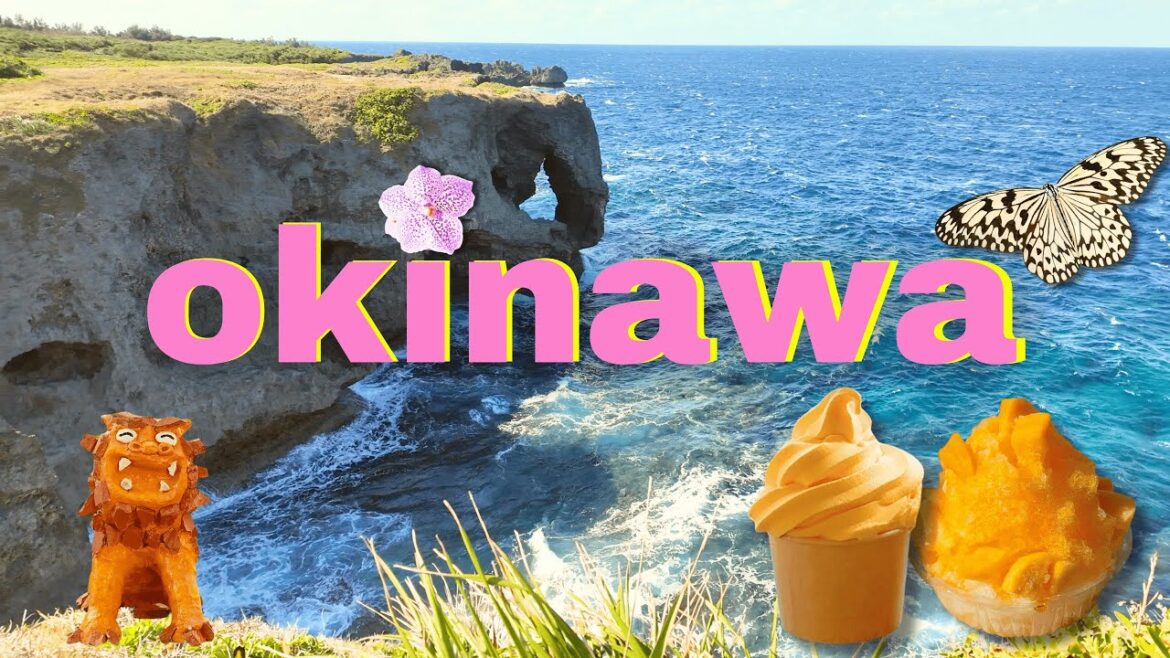 OKINAWA ποΈπ§ MUST-SEE Travel Spots in Okinawa (the last one is my favorite) OKINAWA ποΈπ§ MUST-SEE Travel Spots in Okinawa (the last one is my favorite)