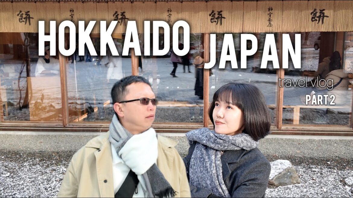 Hokkaido Japan travel vlog in early December part 2